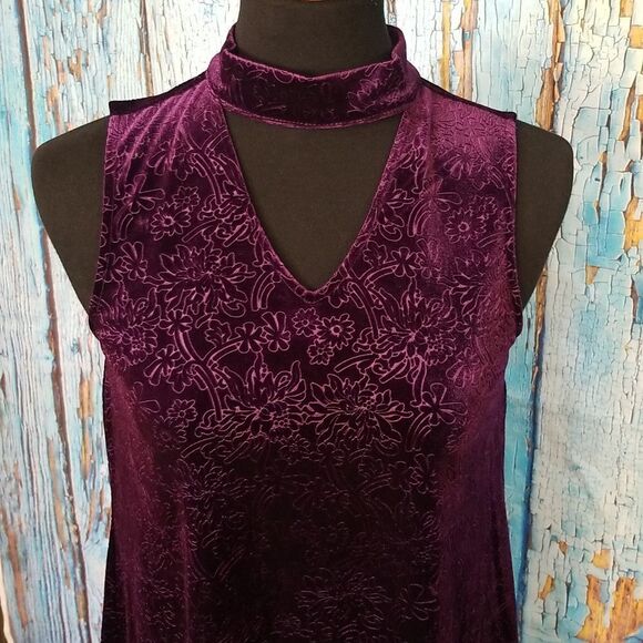 Altar'd State Embossed Velour Dress - Picture 5 of 15